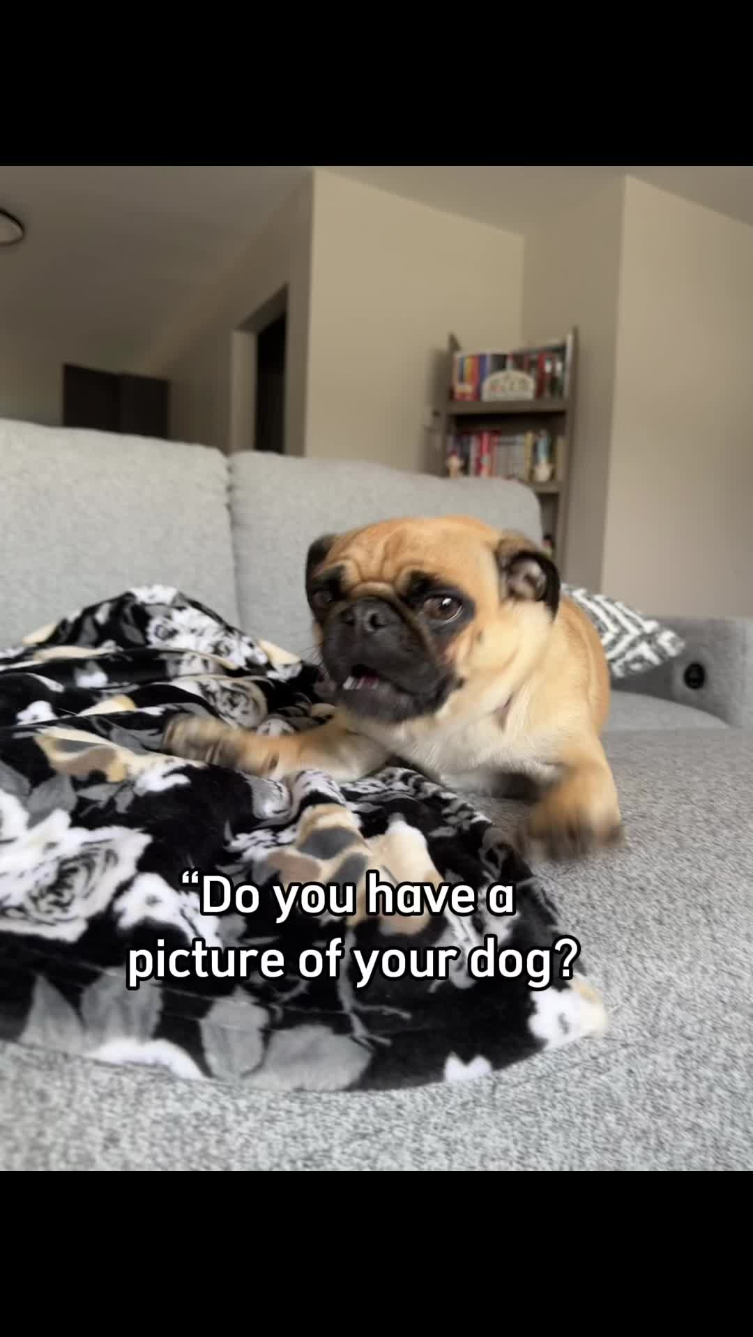 @cayy