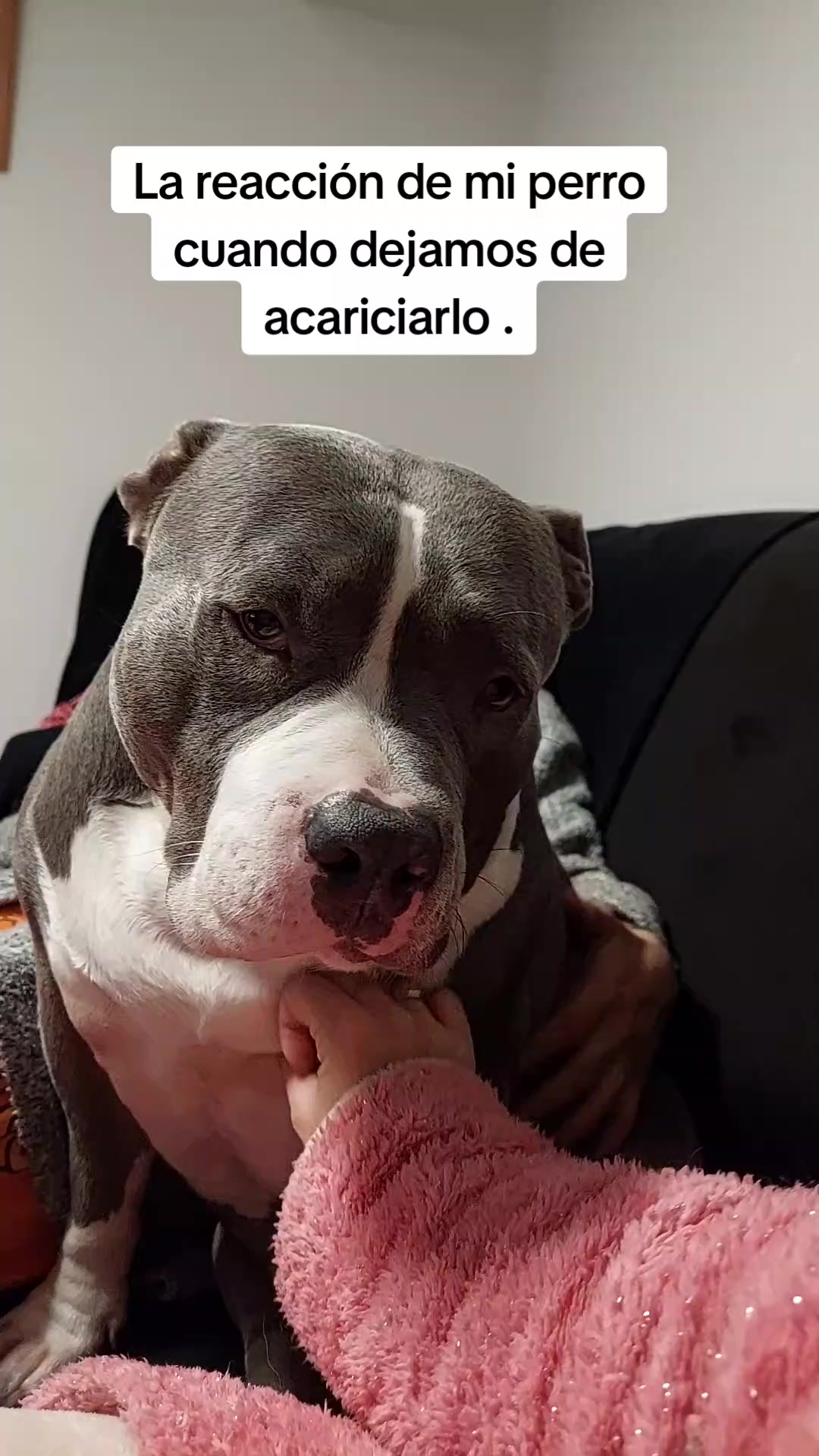 @Kenya y Daddy🐶