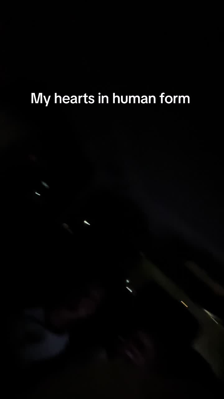 @_dicex2