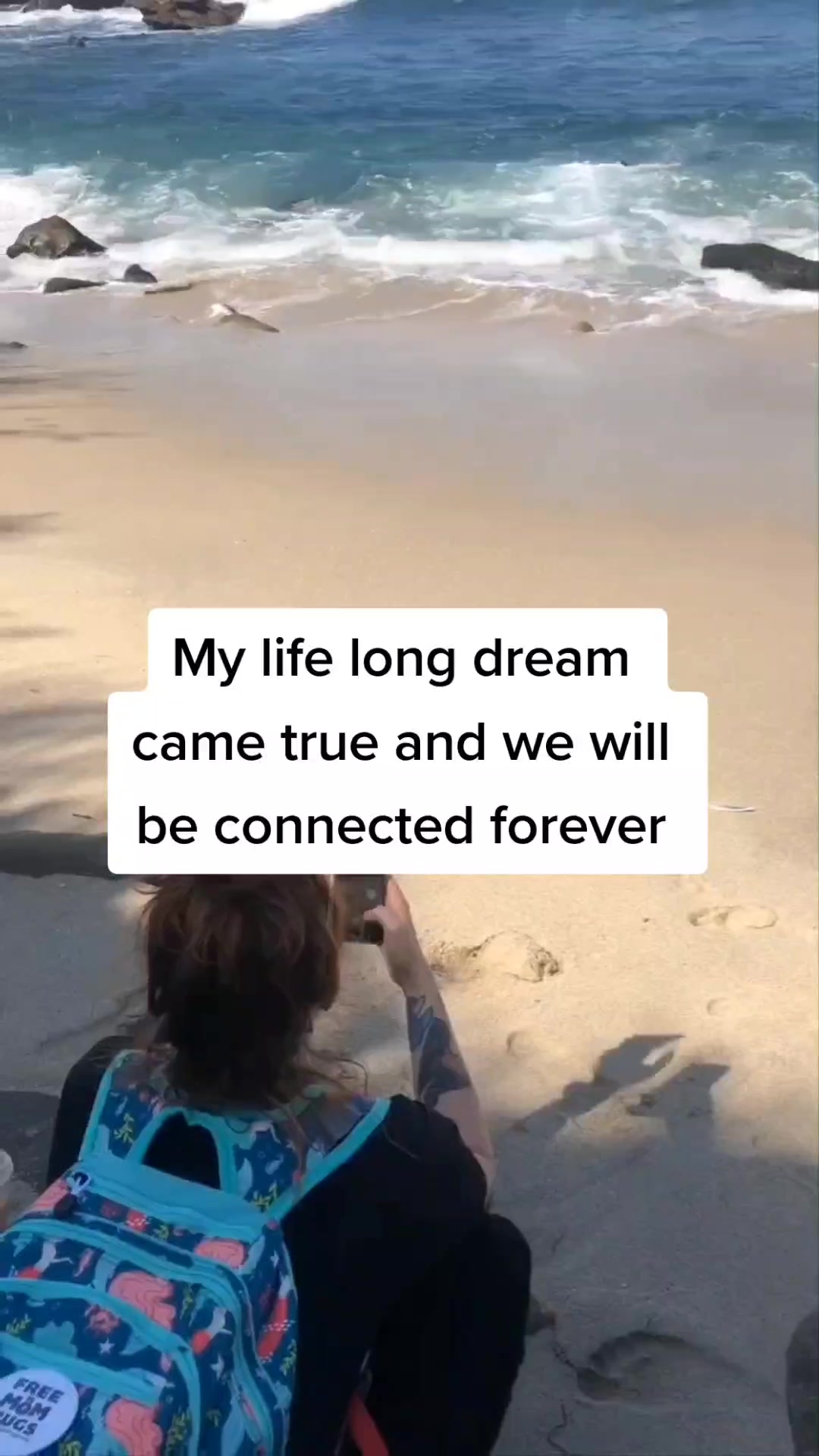 @Mermaid Cassie | Fizzer Wizard