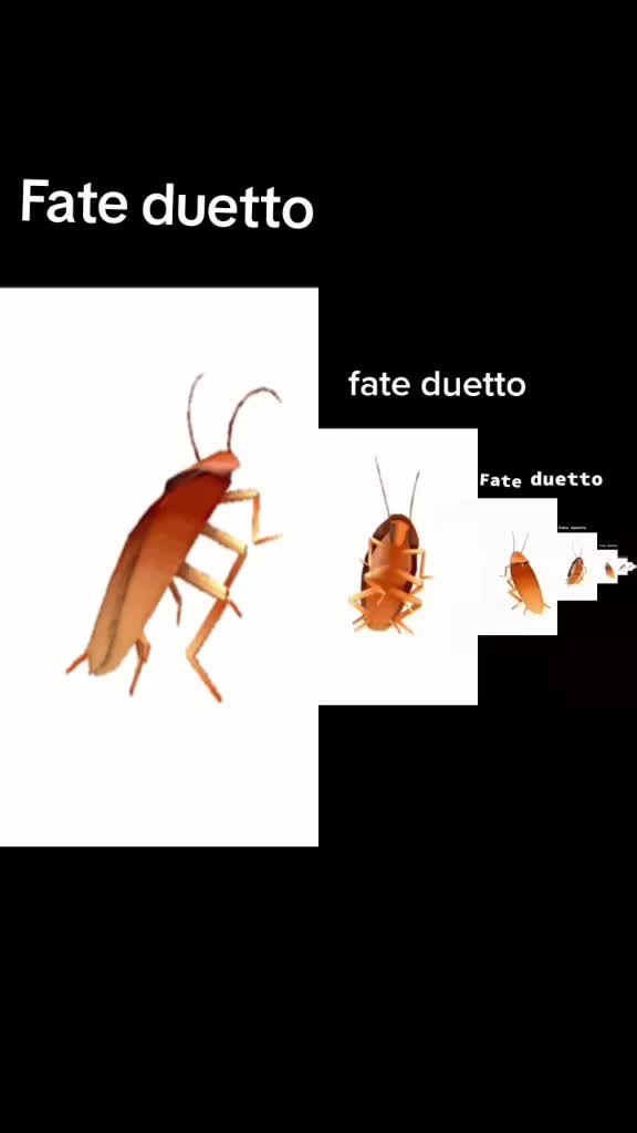 @michele
