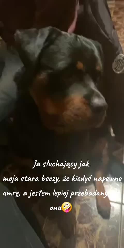 @eelkaa1988wp.pl