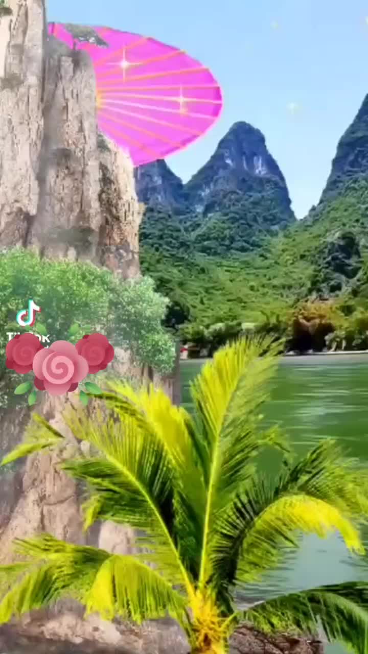 @soniakurmi743