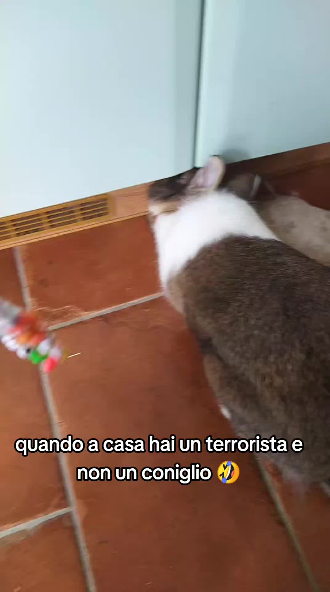 @Francesca