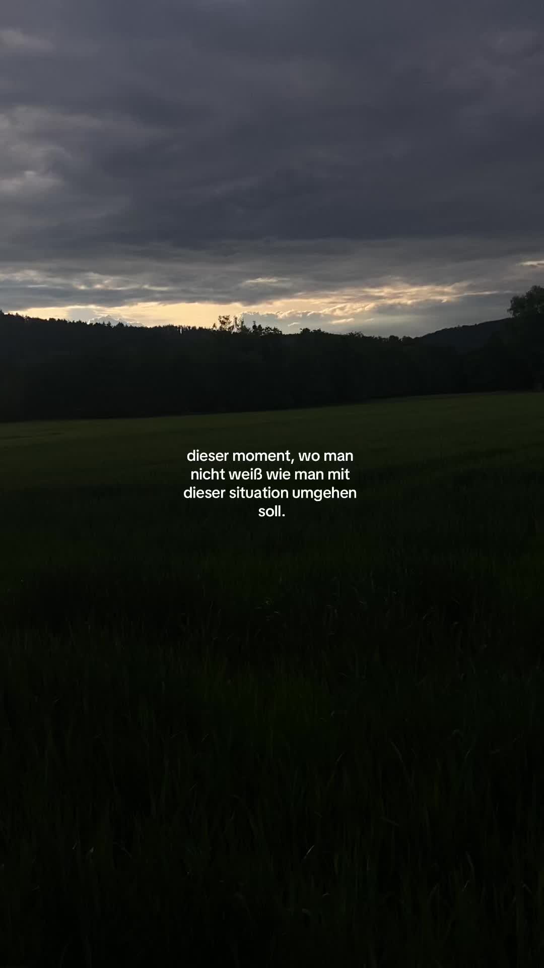 @sx.deepp
