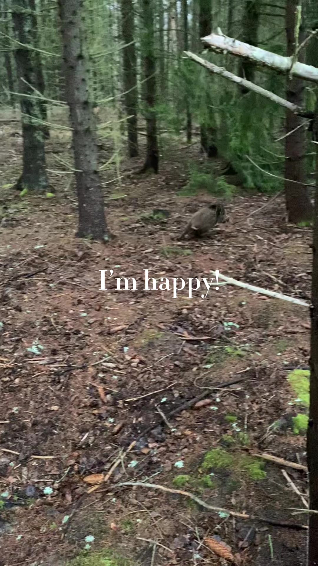 @Ida Thunström