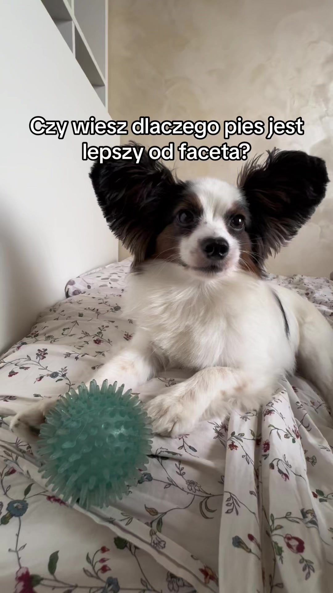 @Martyś 🥳