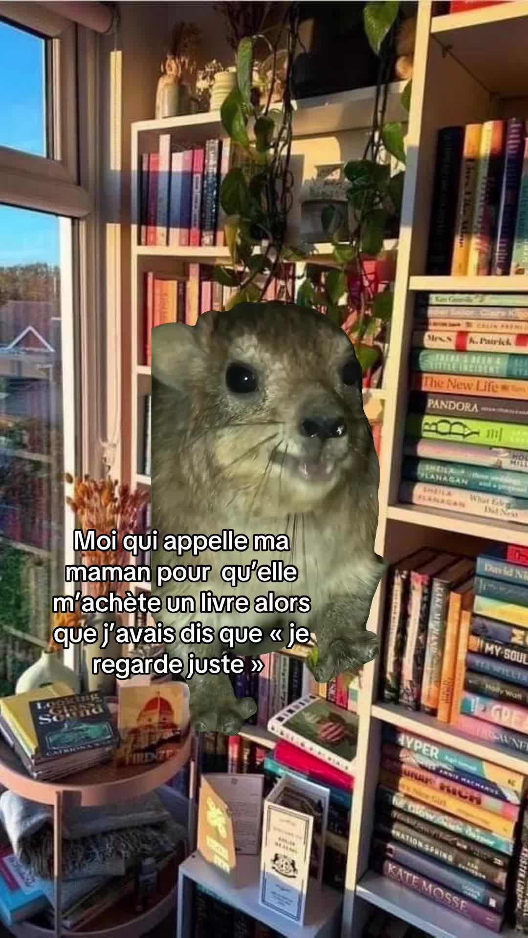 @booktokeuse