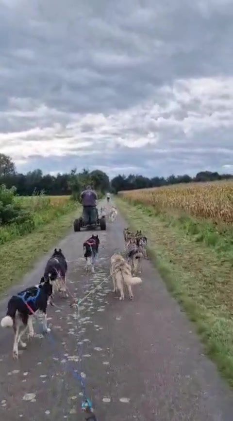 @Husky Ranche Surwold