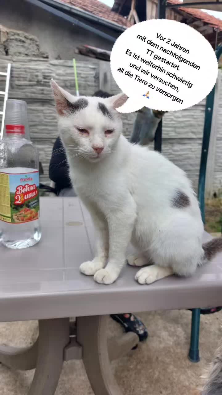 @Ruke_Spasa_Serbia