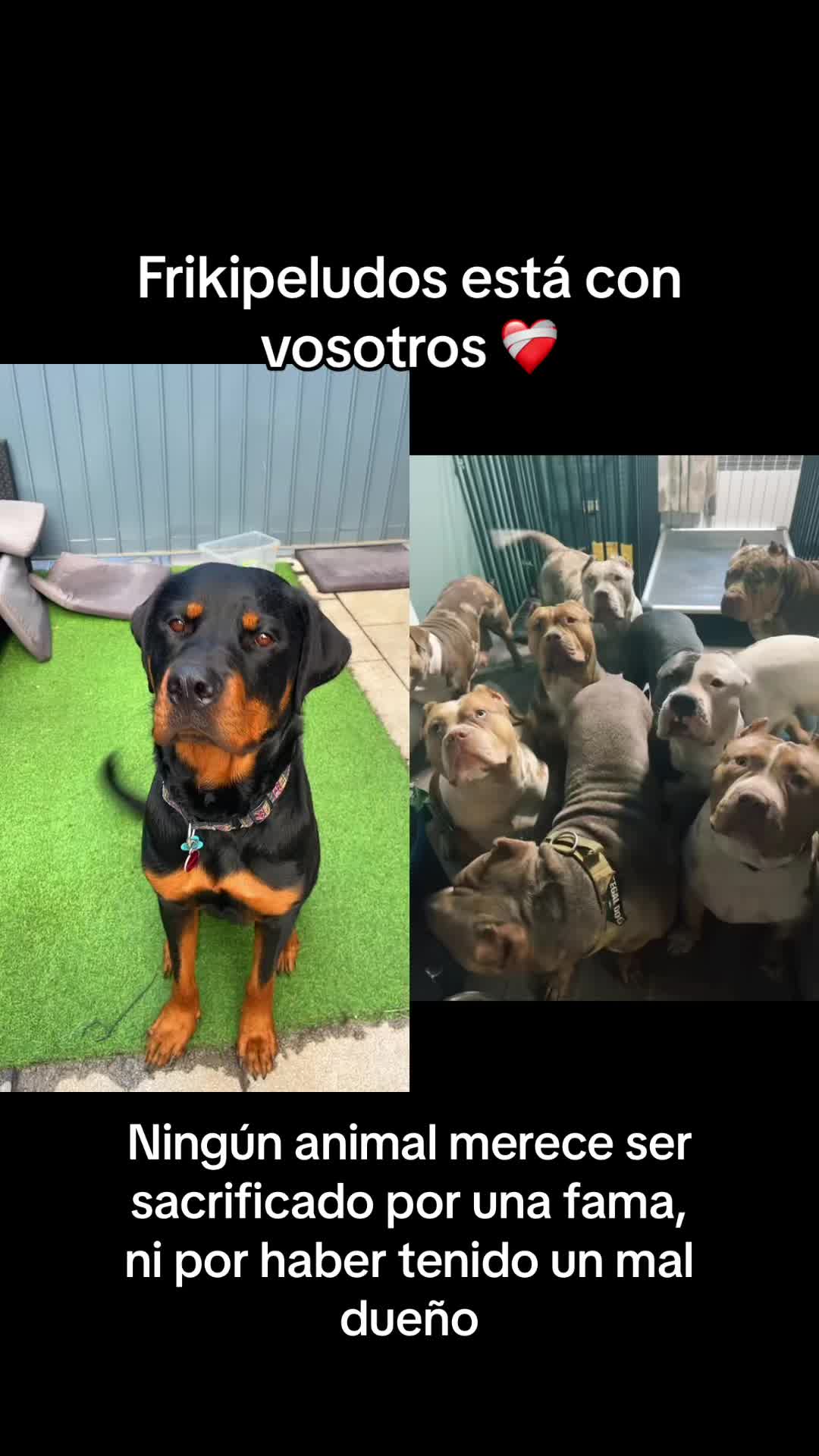 @Anubis y compa&ntilde;&iacute;a