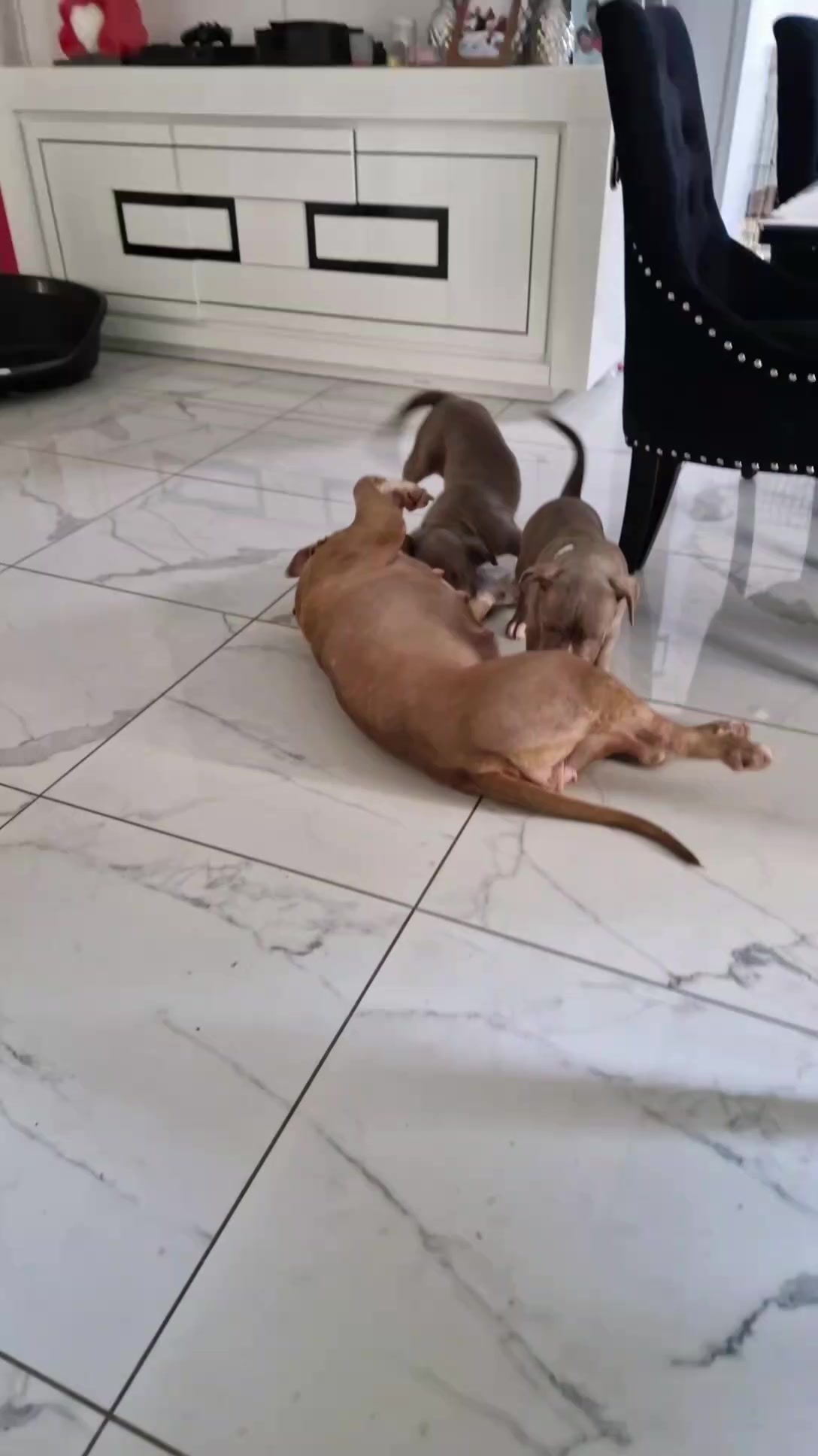 @Baby'sNala