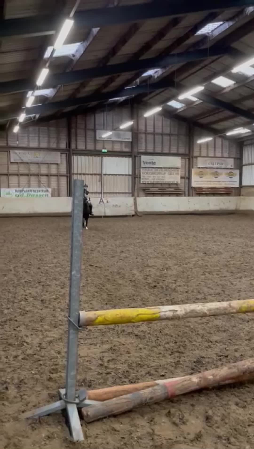 @Jumping Ponies 🔛🔝