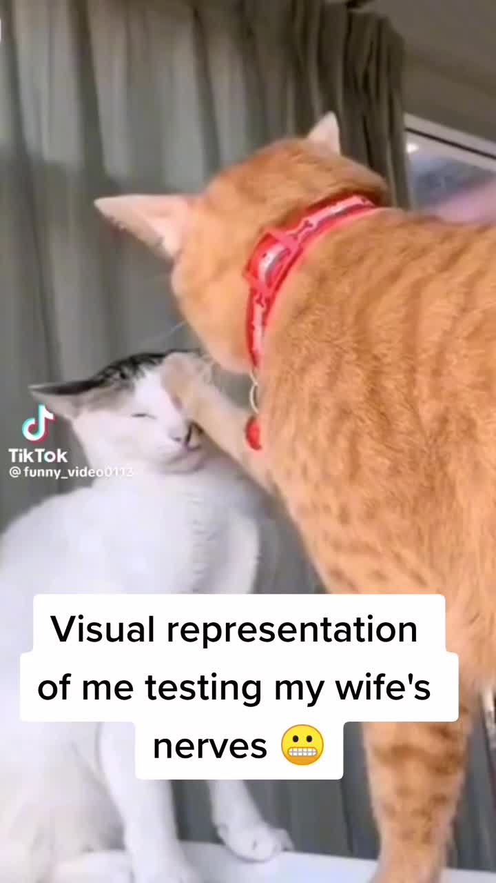 @ƑʉͫcͧкͭιͪηͣDaveyKelly88