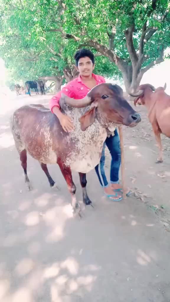 @KaNøØ_BHaRWaD_8699