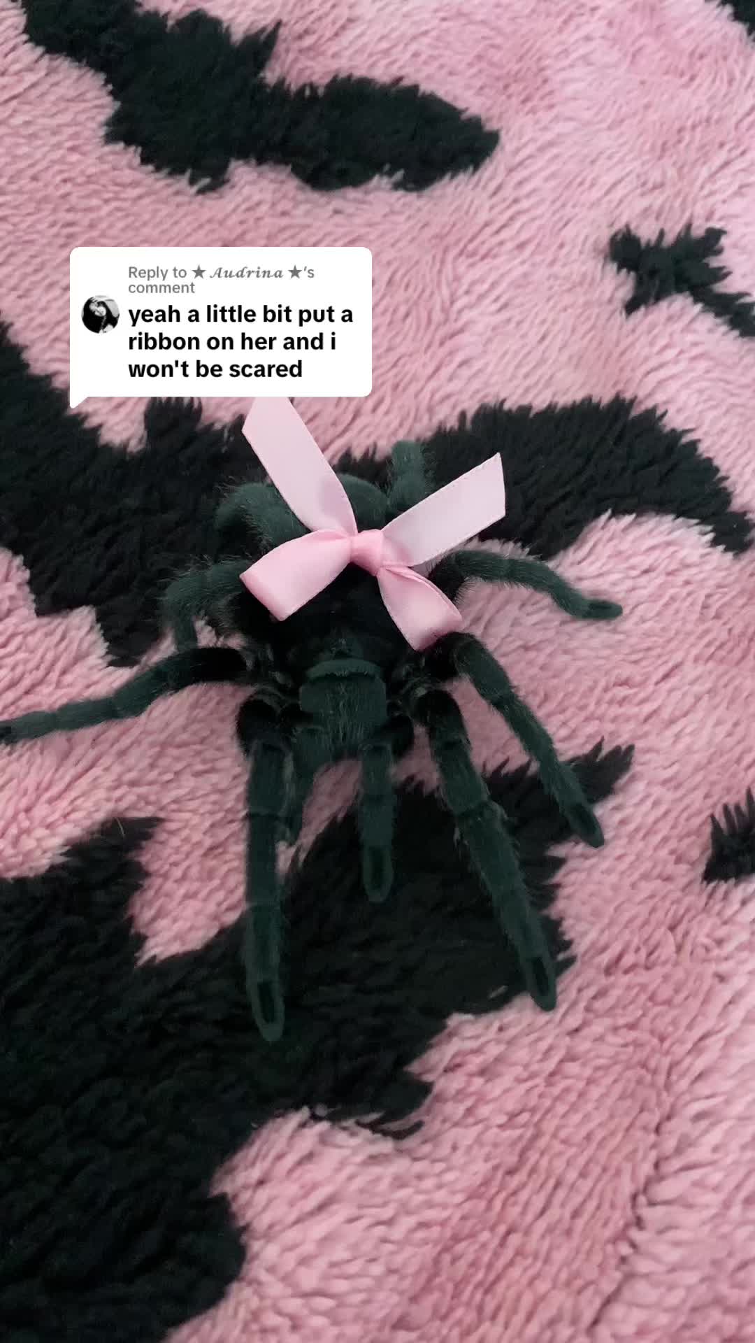 @spectralfawn