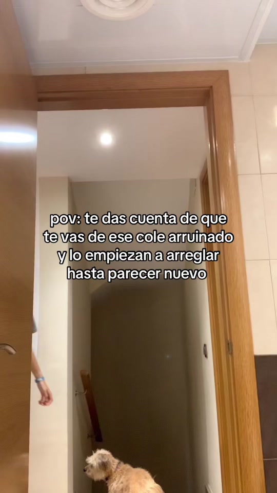 @💤