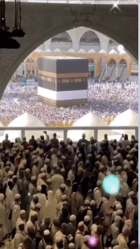 @M🦅JALAL🦅KHOKHAR 🤫