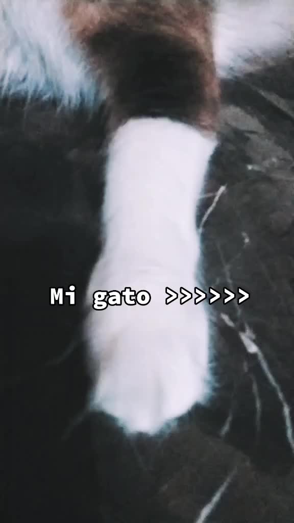 @Bill★kaulitz★