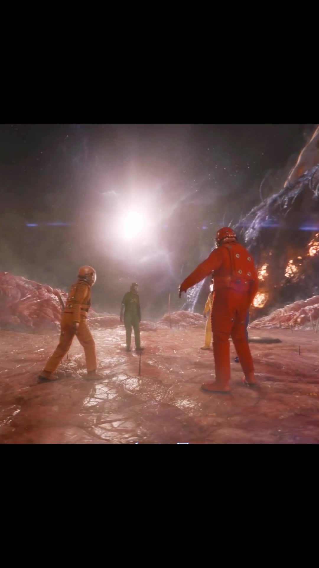 @Catomovie