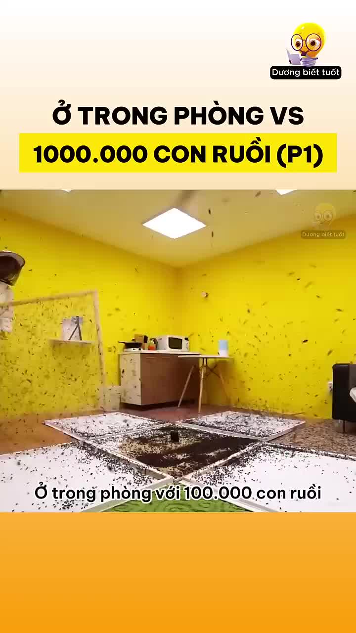 @user71877148126770
