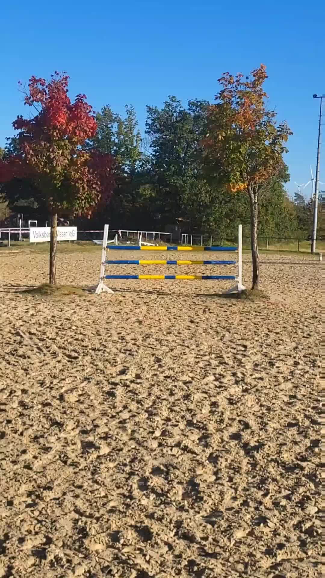 @L.S.