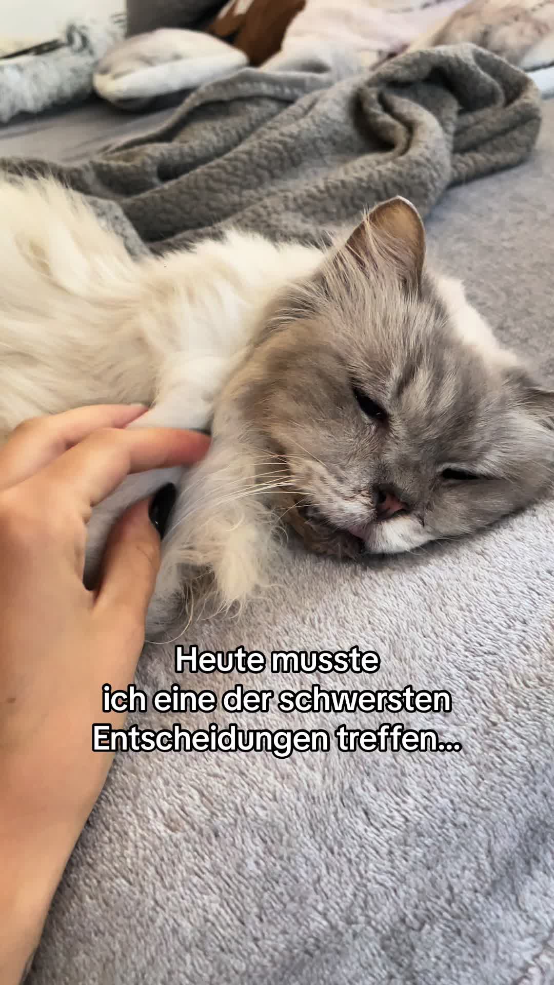 @leni.gbbr