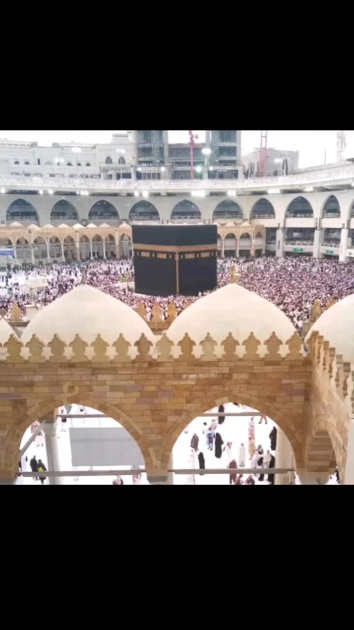 @mohammadmujeeb 143