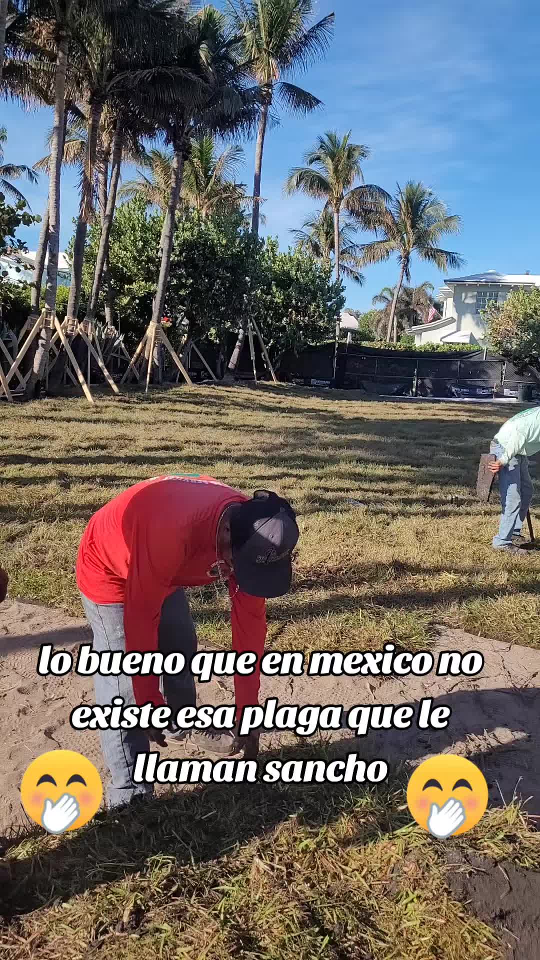 @El sic&oacute;logo de la garza