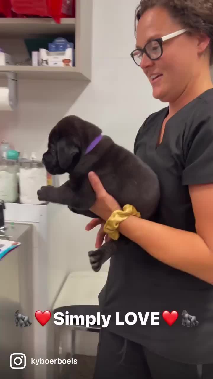 @kyboerboels