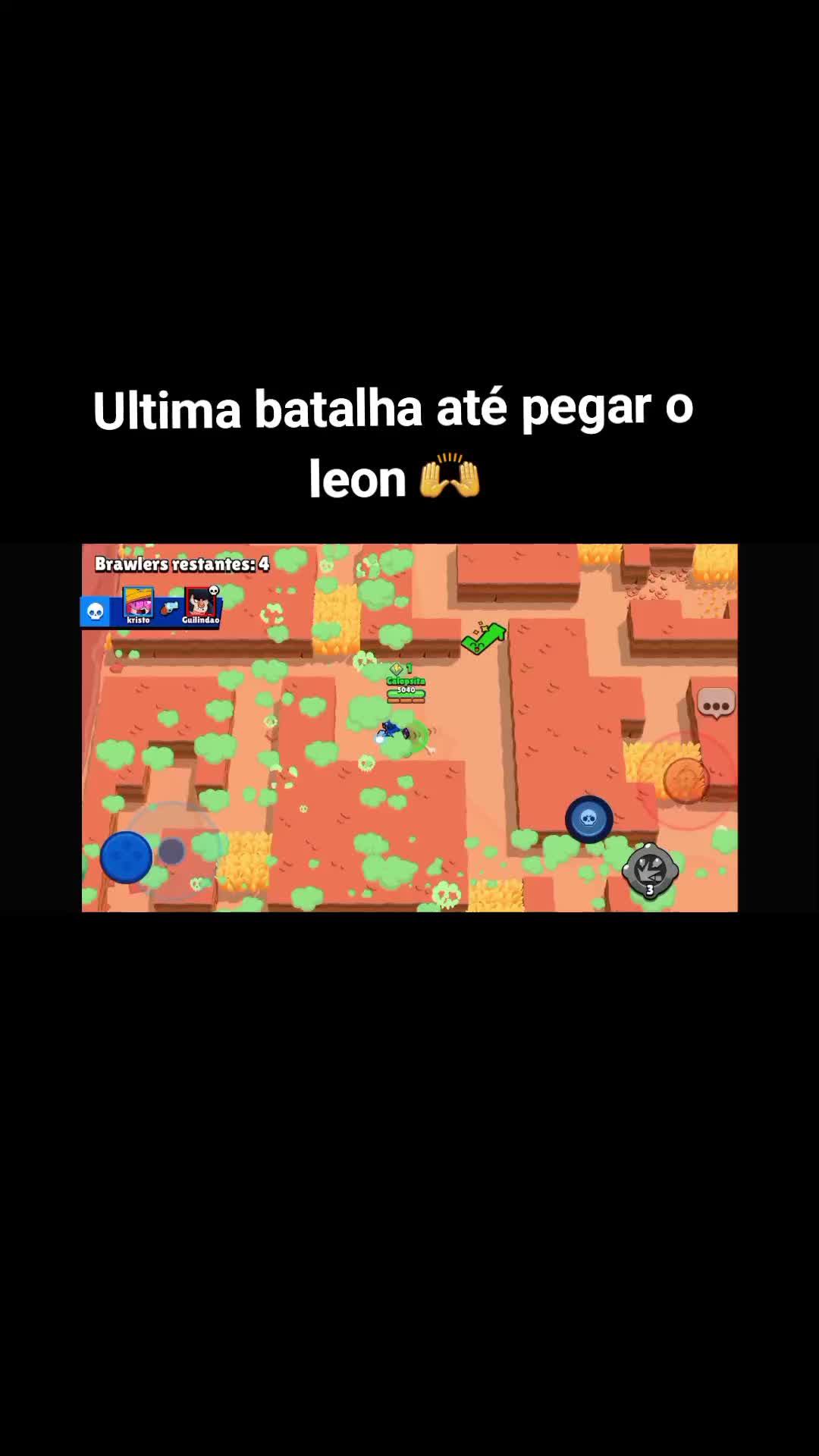 @Calopsita