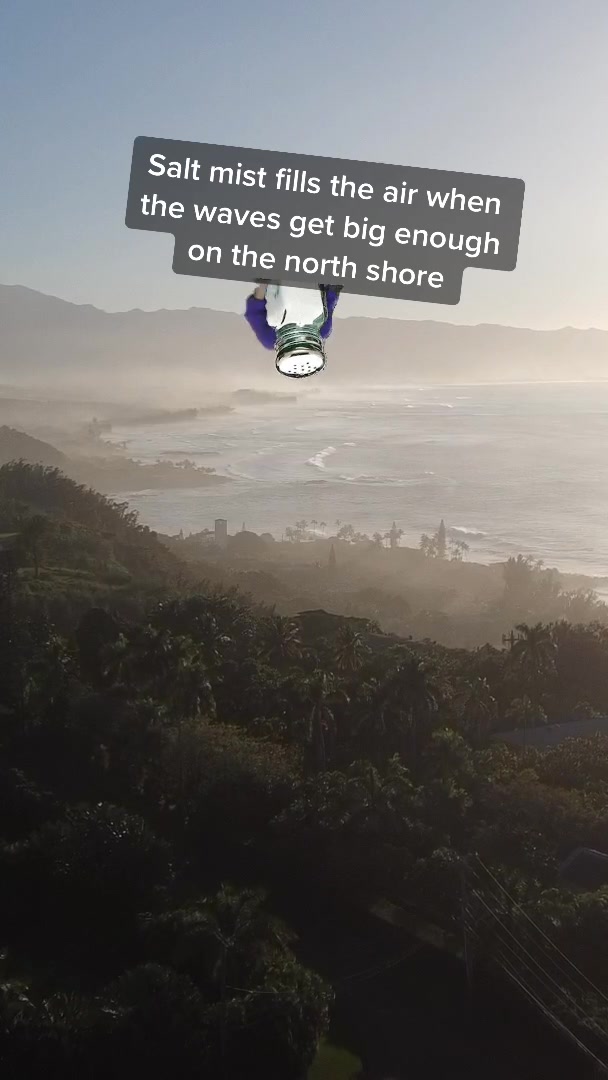 @northshoretreasurehu