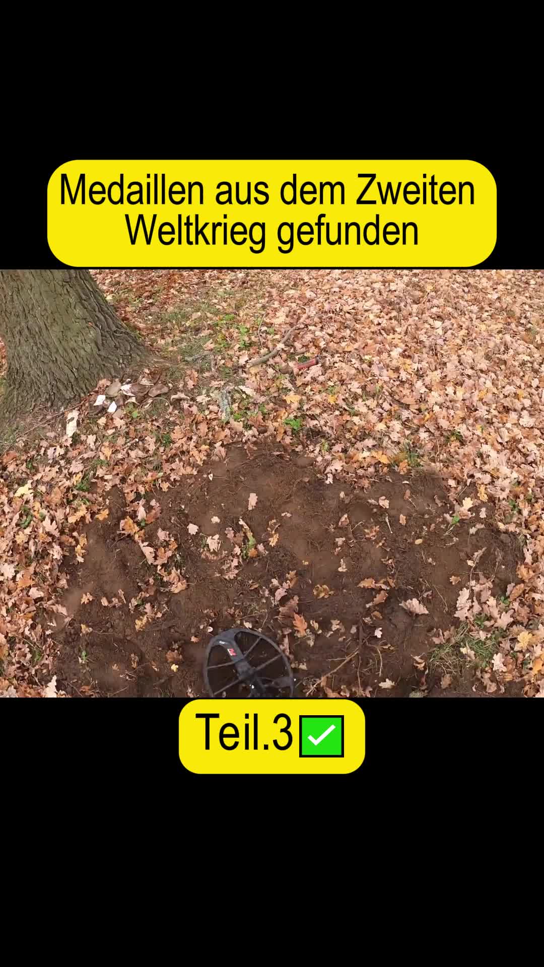 @Gebrüder Lange.ger