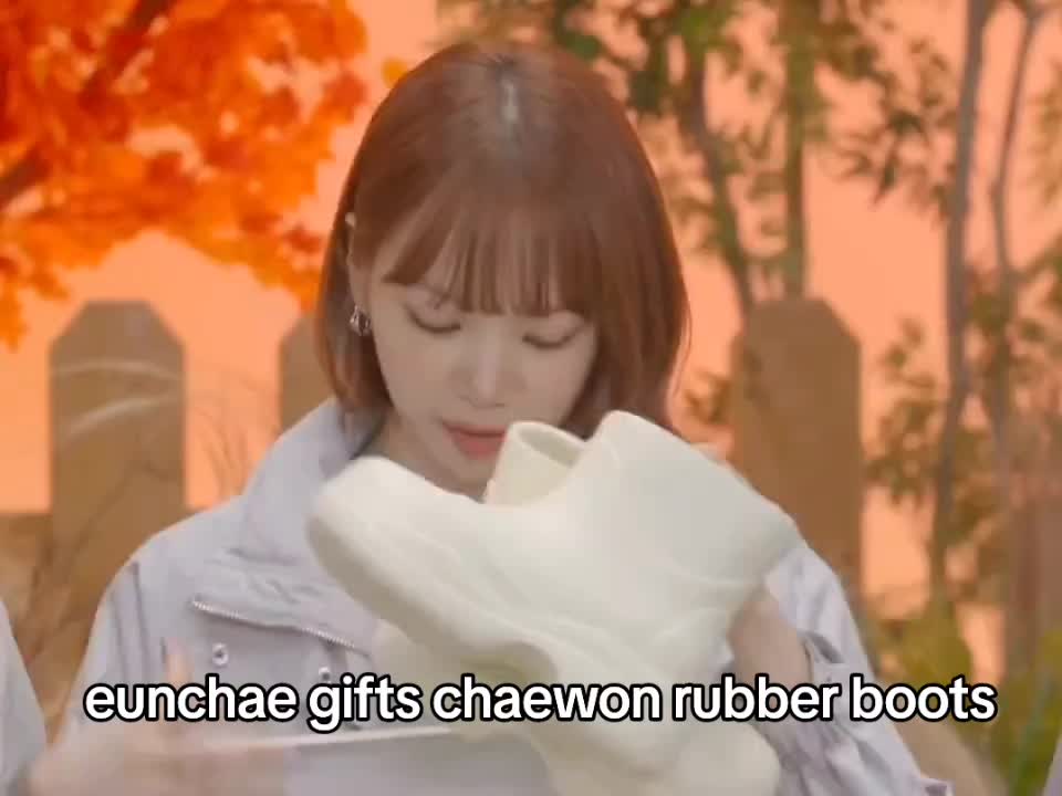 @🐯