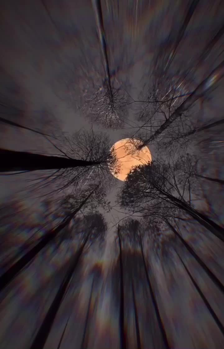 @neofiletiktok