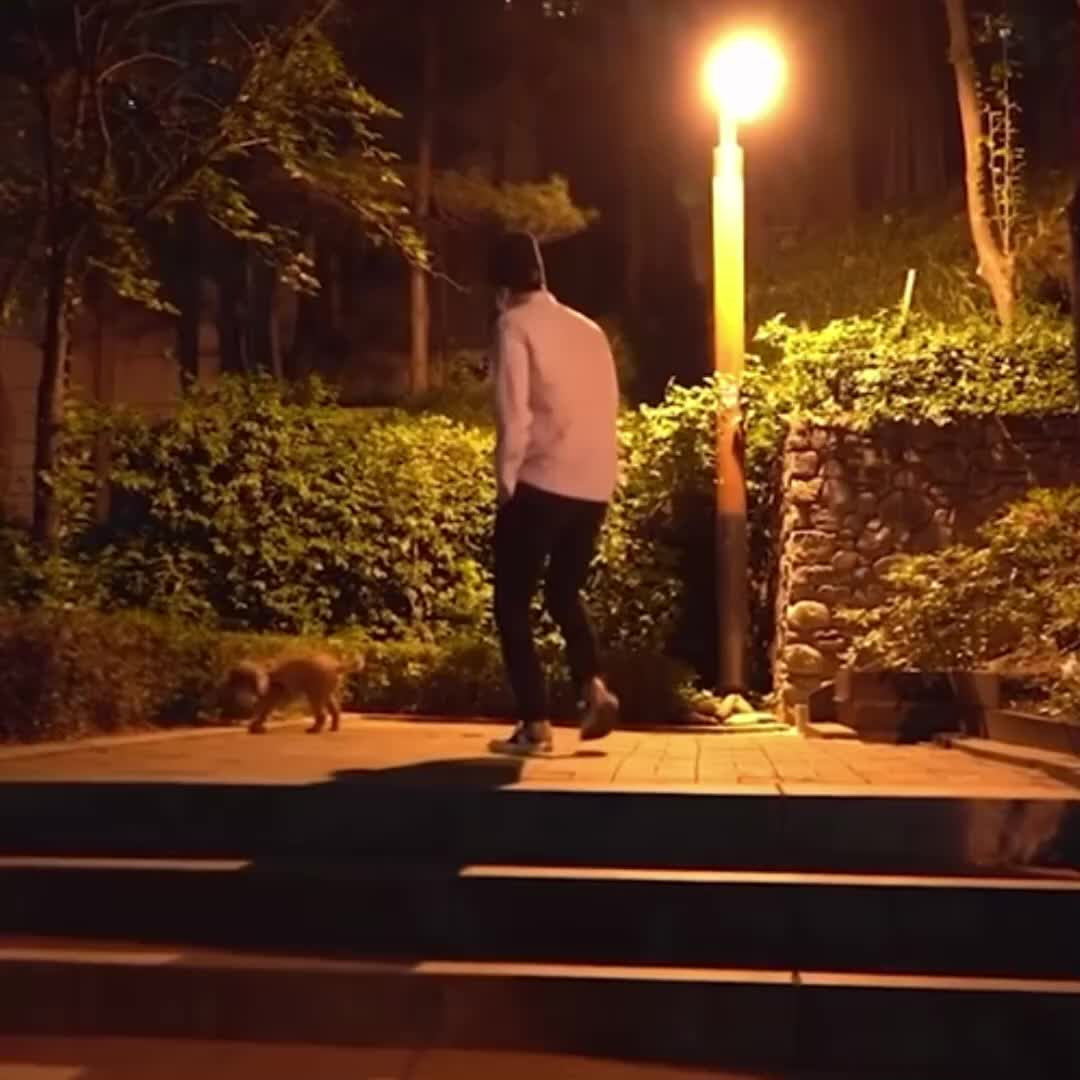 @Mình là chú cá voi đây