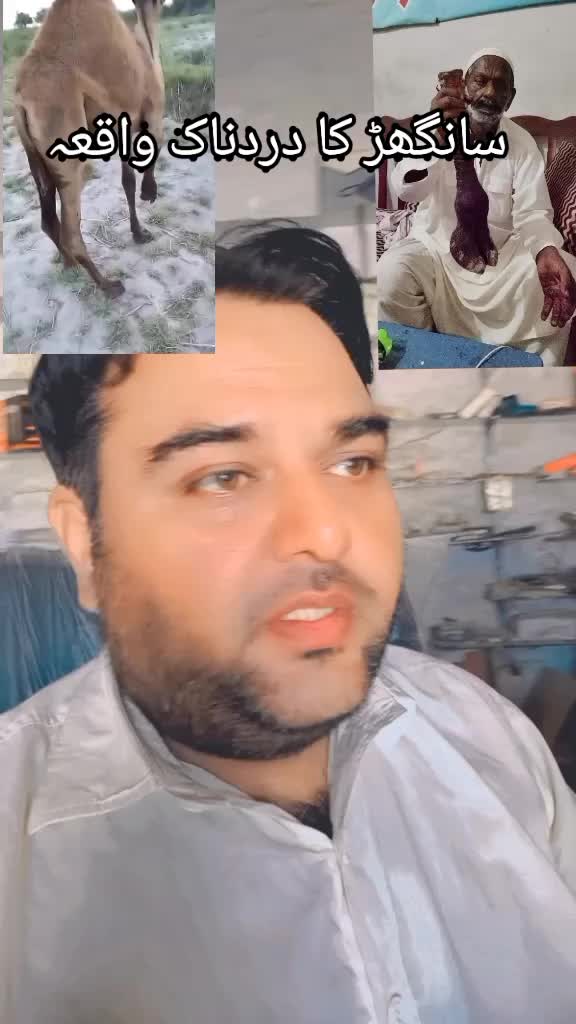 @Shahid Rafiq