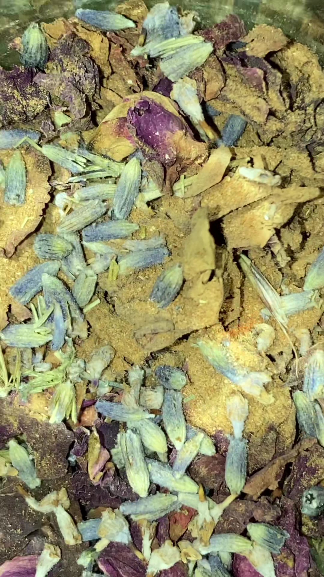 @🌙🕷🍄🐌🕸🦋