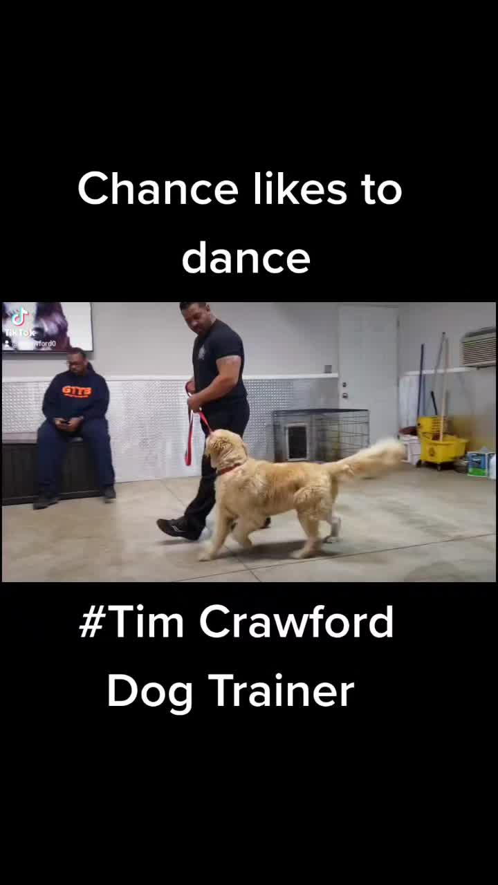 @Tj Crawford