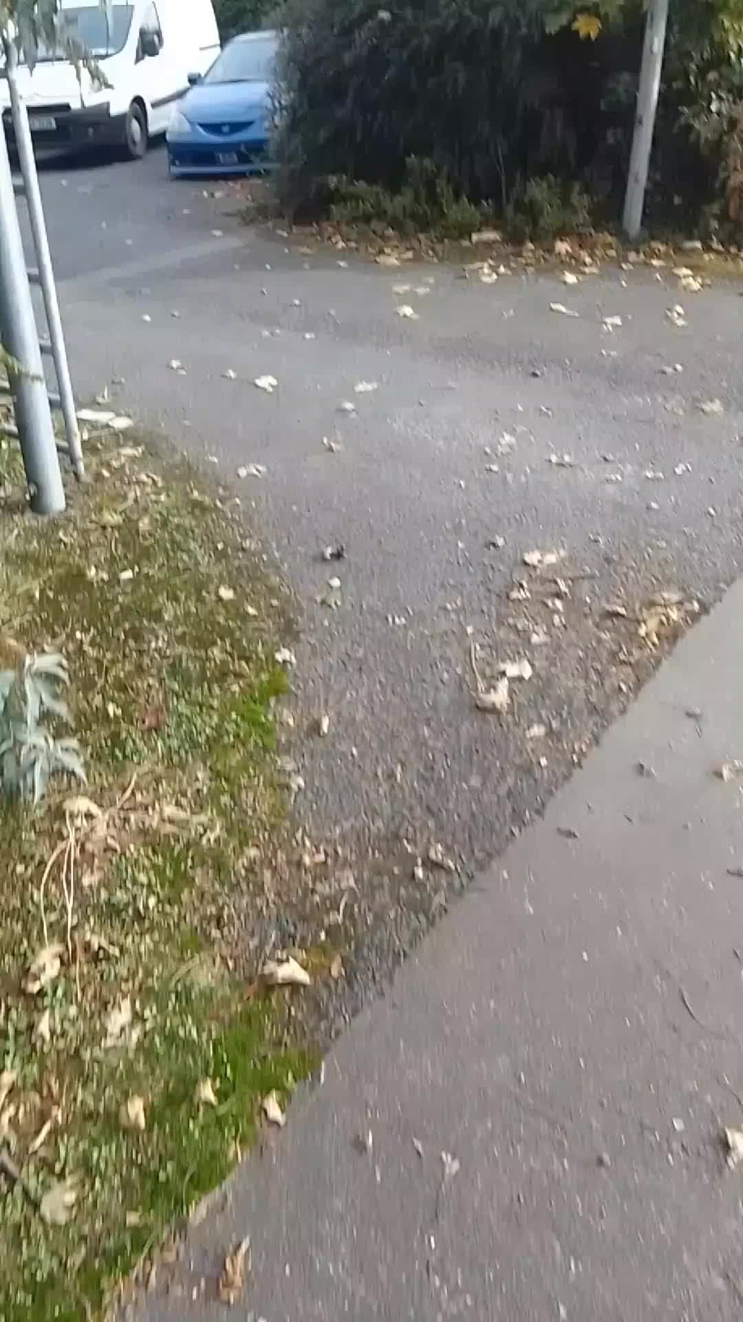 @JJA_CARS