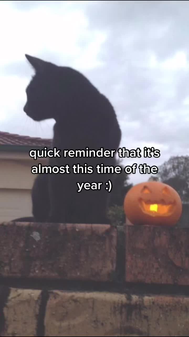 @😸🎧