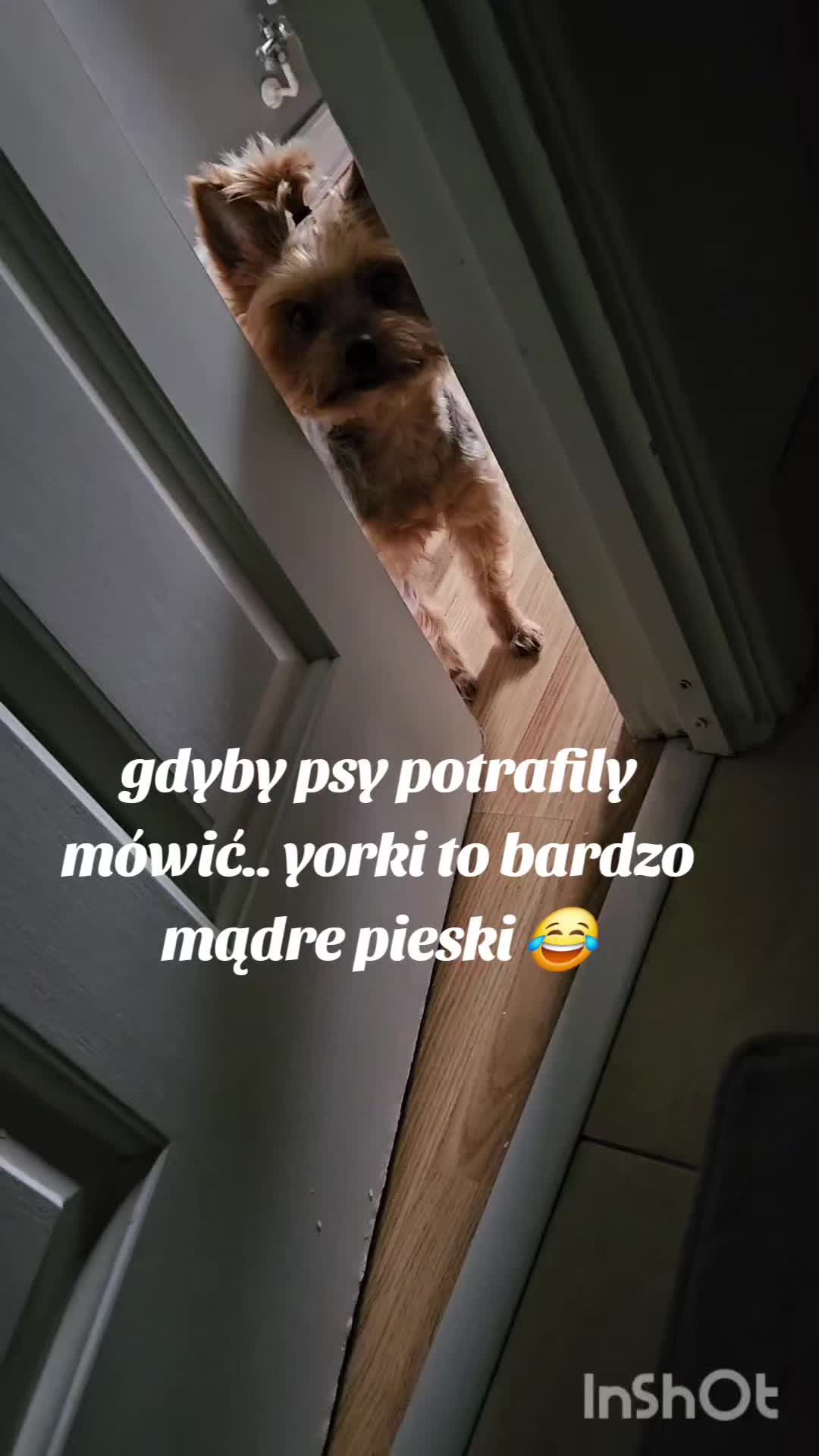 @Ewelina Bednarska