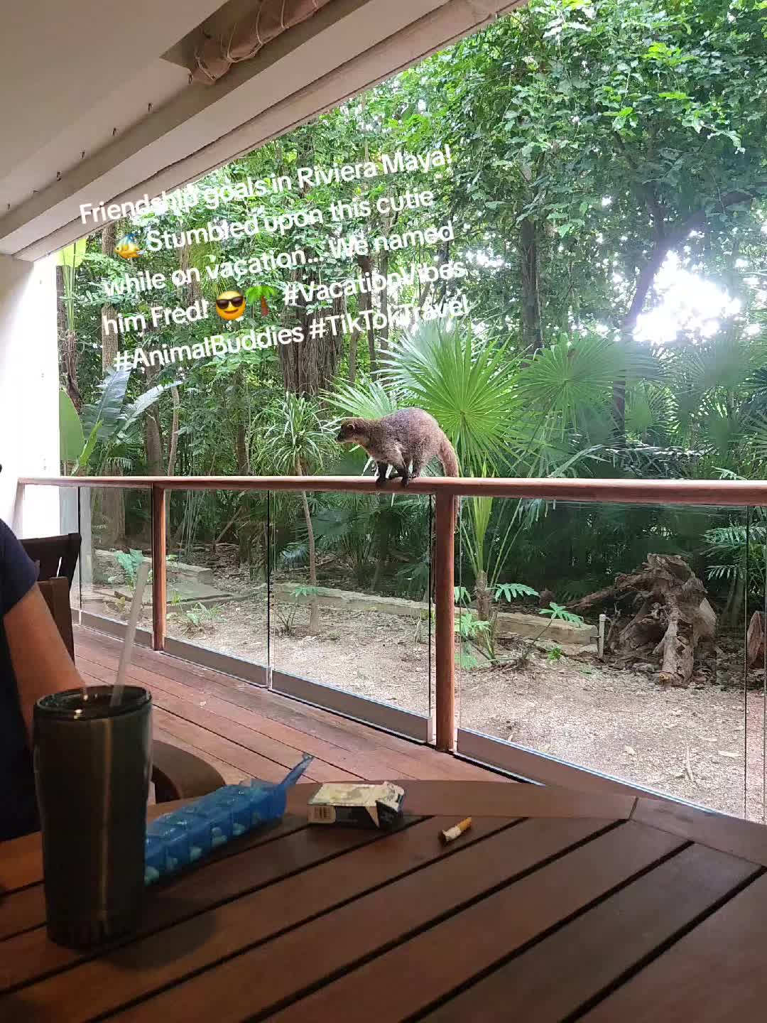@stacymonfriesessentialoils