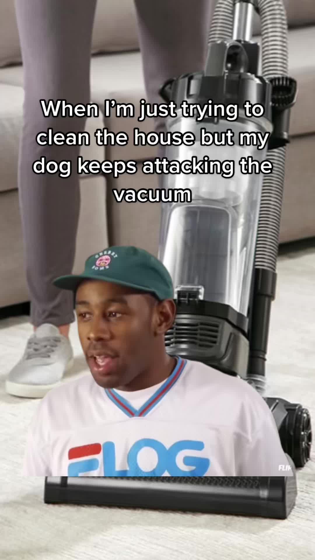 @Pluto the Rottie