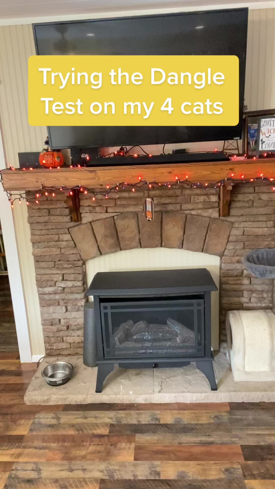 @jess.lucy13