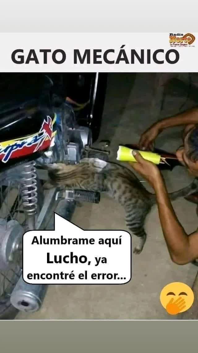 @manases