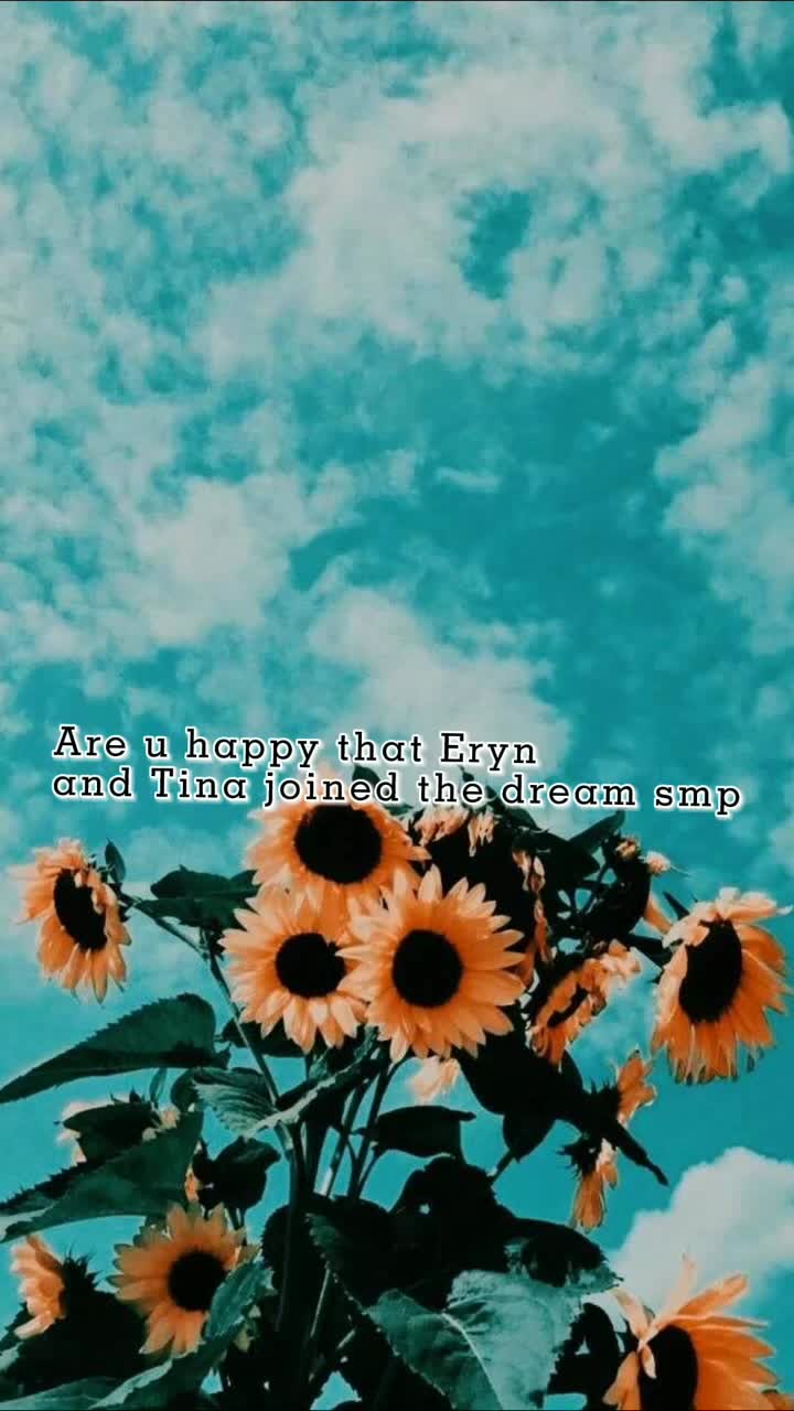 @no one