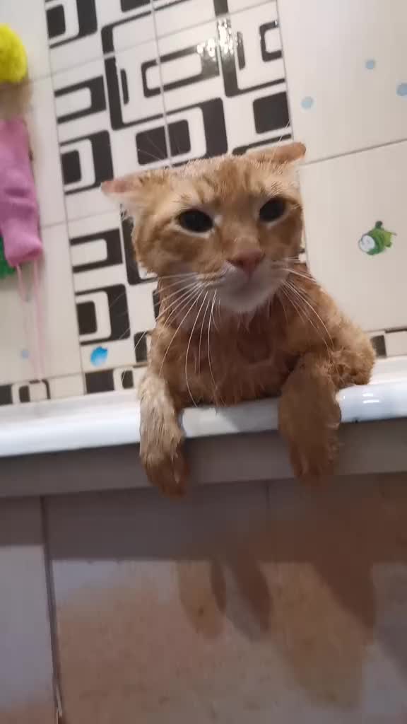 @Пбиджик