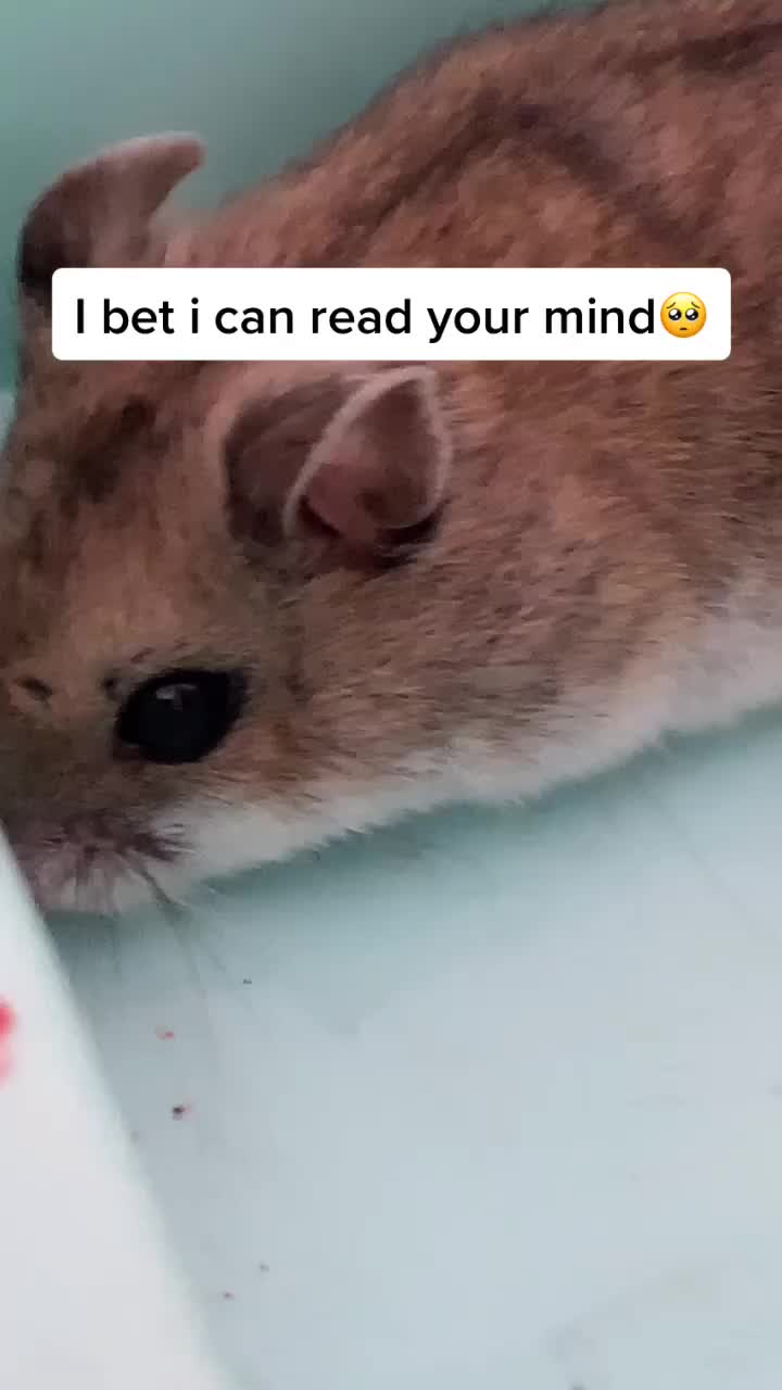 @Hi I’m bob let’s be friends!!!