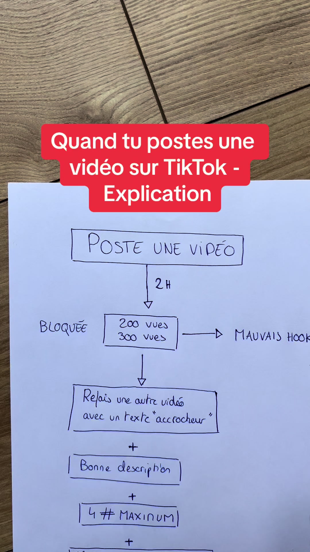 @scinemanoli